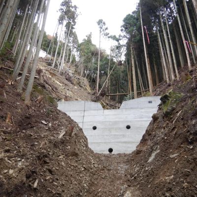 災害関連緊急治山工事(2019年完成)
