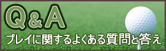 プレイに関するよくある質問と答え