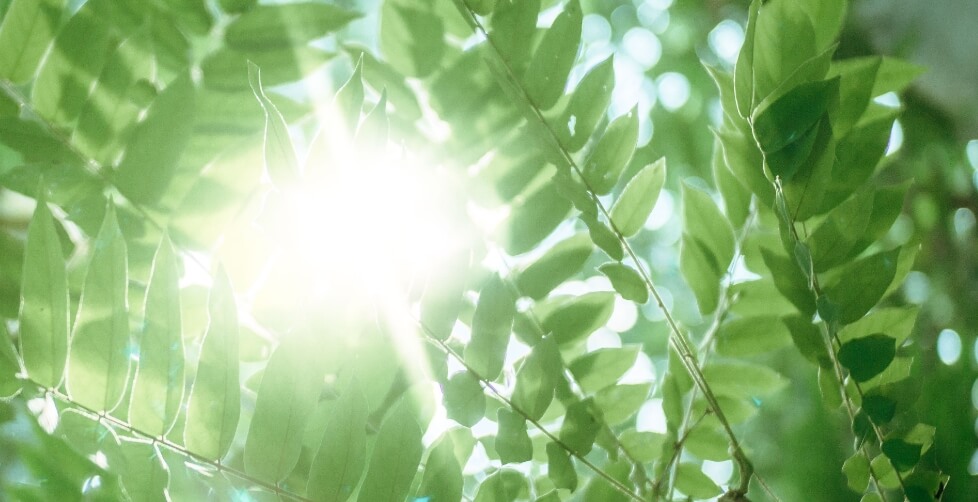 福利厚生・待遇