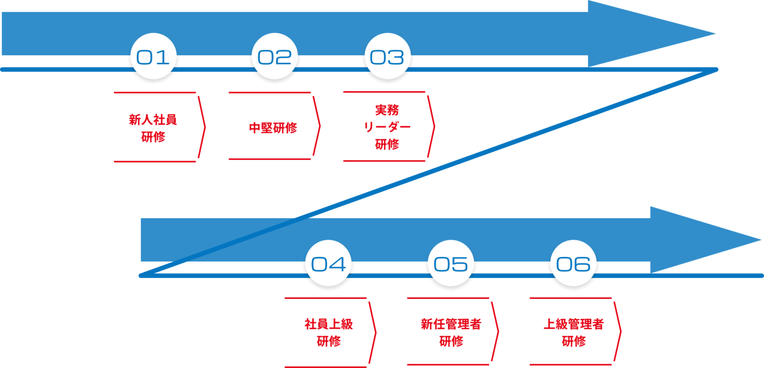研修・キャリアステップ